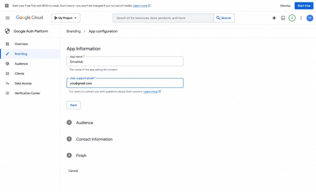 Google Auth Platform App Information form configured for DriveHub.