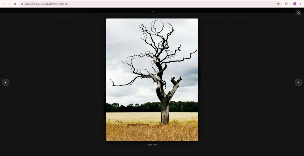 Frontend view of the image