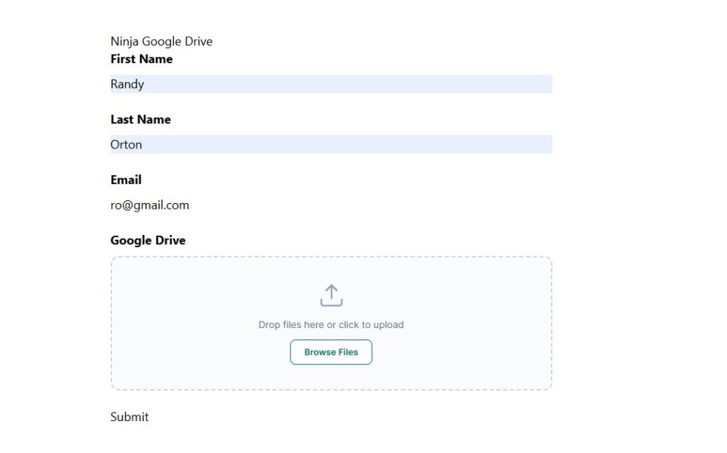 End result of Google Drive being embedded inside Ninja Forms 