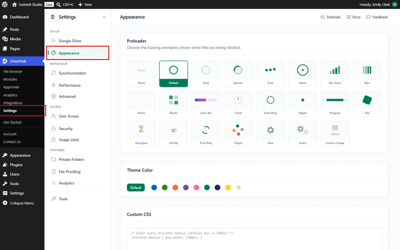 Opening the Appearance tab in DriveHub settings