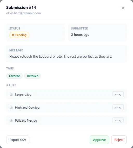 A submission with its status, message, tags and files