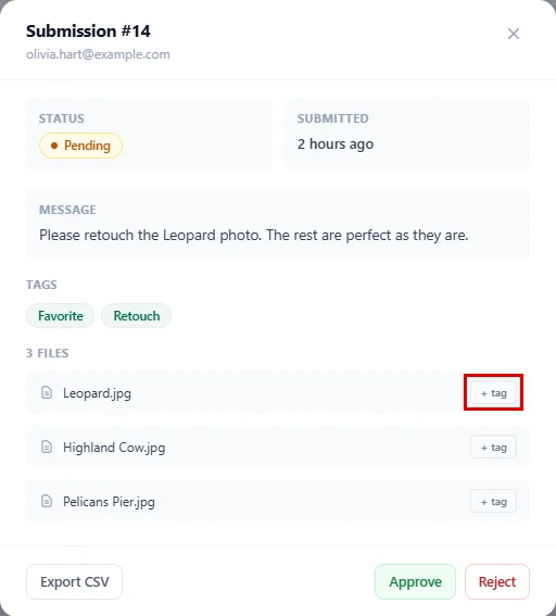 The + tag button next to a file in the submission