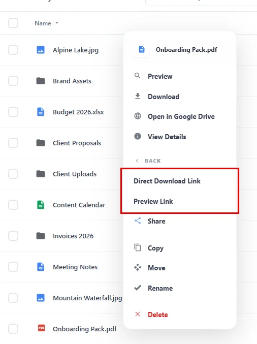 The Copy Links menu with Direct Download Link and Preview Link