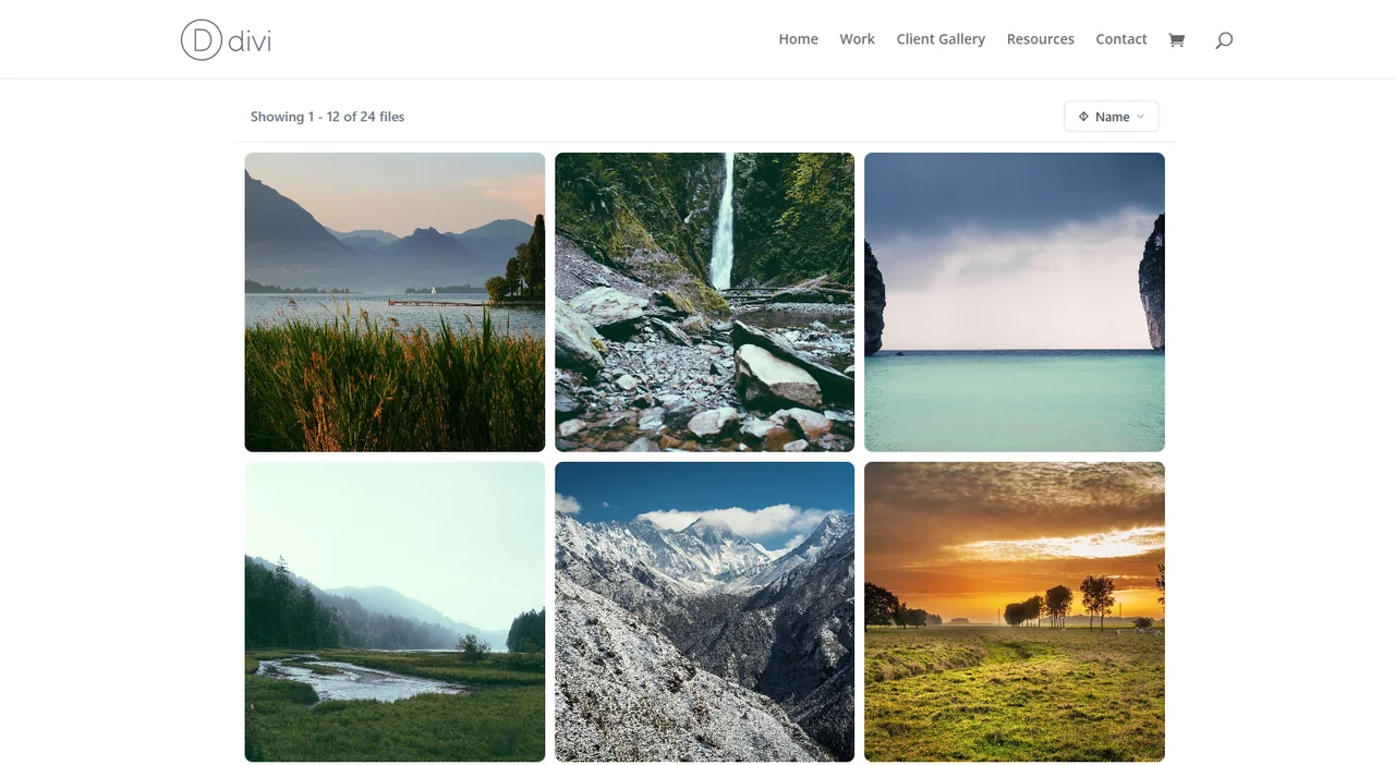 The Studio Photo Gallery module on the live Divi page