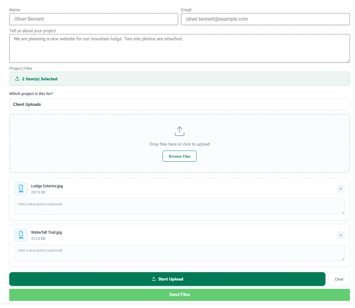 The published form with two files ready in the DriveHub upload box