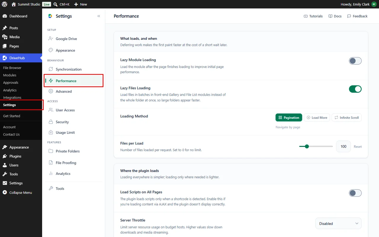Opening the Performance tab in DriveHub settings