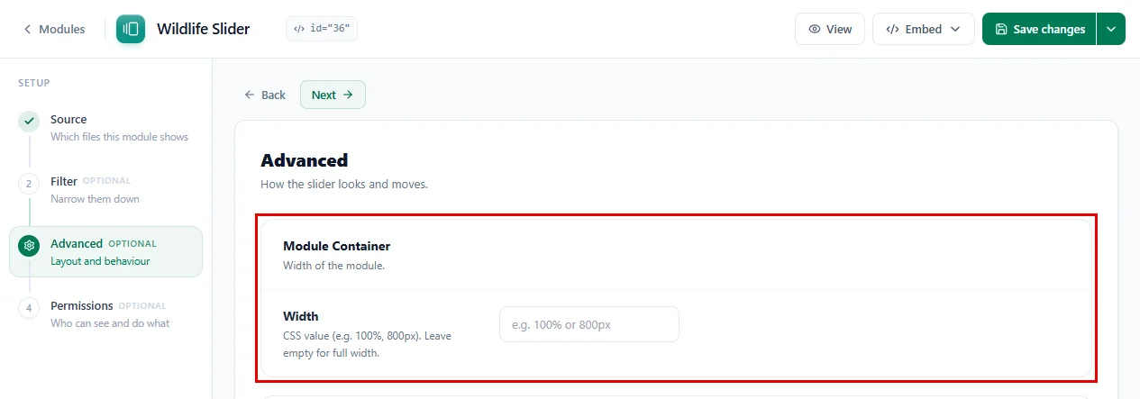 The Module Container settings in the Advanced step