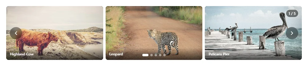 The slider showing three images side by side with captions