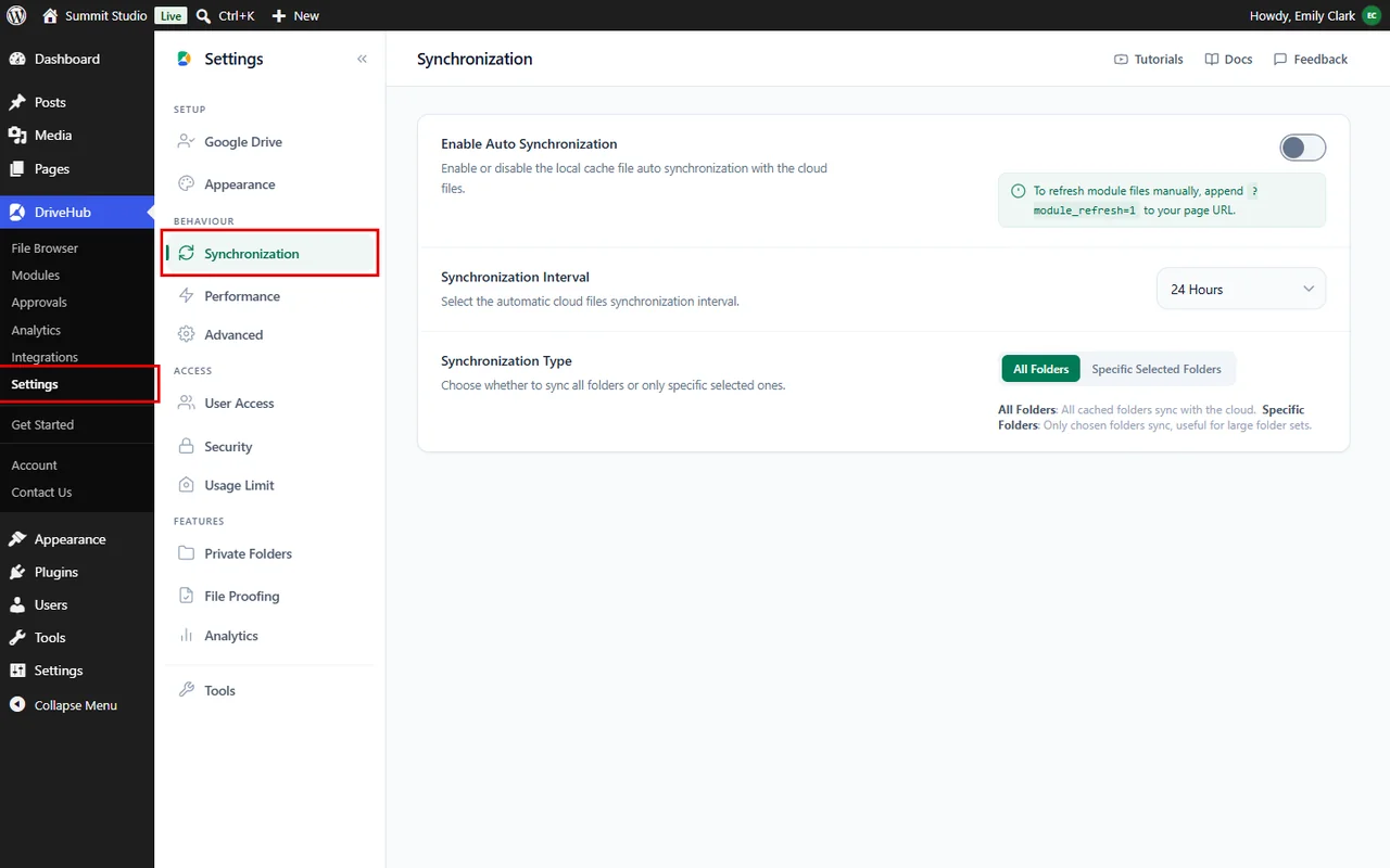 Opening the Synchronization tab in DriveHub settings