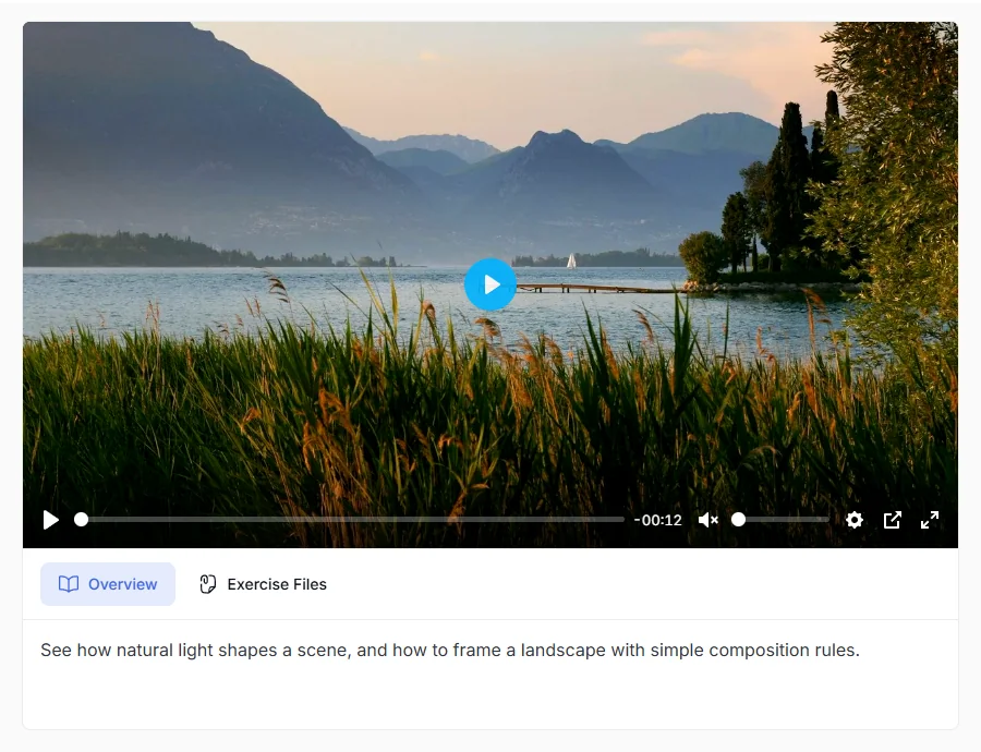 A Tutor LMS lesson playing the Google Drive video