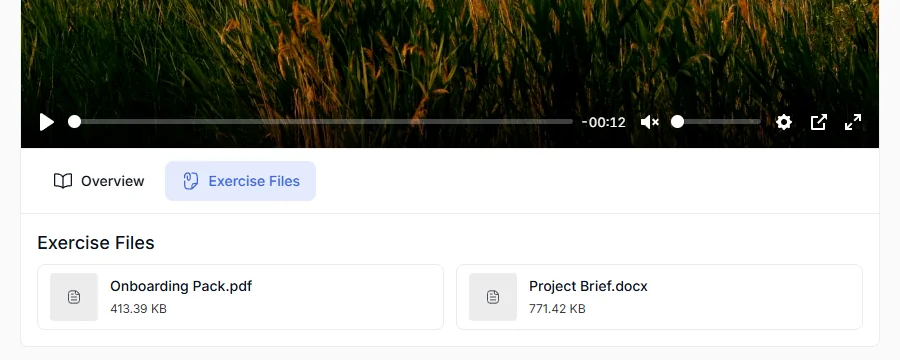 The Exercise Files tab listing the Google Drive files with their sizes